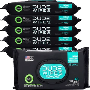 DUDE MINT CHILL Flushable WET WIPES (6 Pack / 288 Wipes) NEW EXPEDITED SHIPPING - Picture 1 of 1