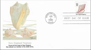 Seashells New England Neptune Seashells Clam Sea Life USA FDC Cover 1985 - Picture 1 of 2