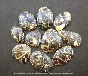 Cabochon 100 CARATI Agata Turritella Naturale, 3-4 Pezzi, Lotto Pietre Preziose Sciolte - Foto 1 di 10