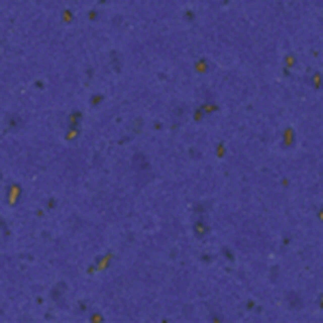 Profile Design Adhesive Cork Bar Wrap Blue - Image 1 of 1