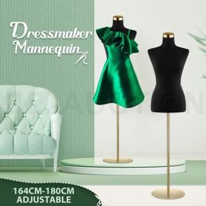 Female Mannequin Model Torso Display Stand Manikin Dress Form 160-177CM Black - Picture 1 of 8