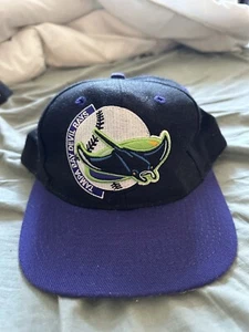Vintage MLB Tampa Bay Devil Rays The Game Wool/Acrylic Snapback Cap Hat - Picture 1 of 7