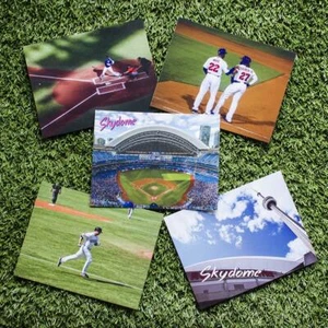 BLUE JAYS POSTCARDS - toronto skydome vladimir guerrero jr devon white - Picture 1 of 7