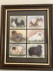 Pekingese Imperial Collection 1 To 6 Framed