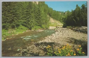 Tarjeta postal vintage Spearfish Canyon, Black Hills, Dakota del Sur, EE. UU., - Imagen 1 de 2