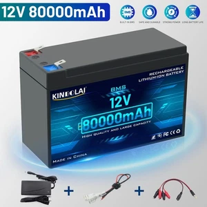 12V 8Ah li-ion battery pack sprayer with built-in for electric vehicles - Picture 1 of 19