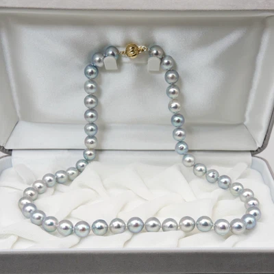 Collana di perle Akoya giapponesi blu argento 8,5-9 mm alta lucentezza... - Immagine 1 di 4