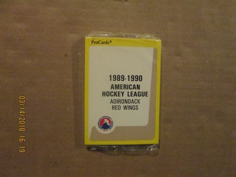 AHL Adirondack Red Wings Vintage Defunct 1989-1990 NIP Pro Cards Hockey Team Set Cover