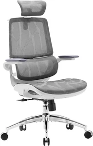 Ergonomic Office Chair Grey with Large Cushions Mesh Dual Back Adjustable Height - Picture 1 of 12