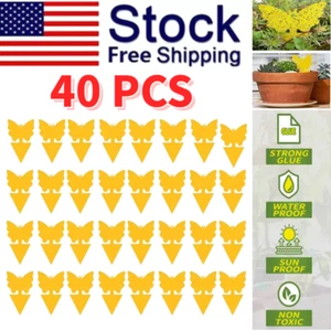 40pcs Sticky Fruit Fly Traps, Fungus Gnat Killer Trap use for Indoor Outdoor NEW - Picture 1 of 24