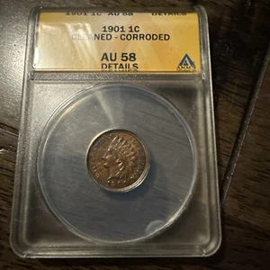 1901 Indian Cent Cleaned Details ANAC Certified - Picture 1 of 2