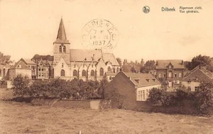 België - DILBEEK (Vl. Br.) Algemeen zicht - Picture 1 of 2