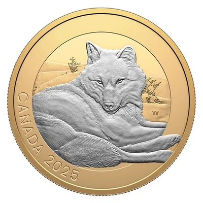 2025 Canada $20 Animal Portraits: Grey Wolf - Fine Silver Coin - Image 1 of 3