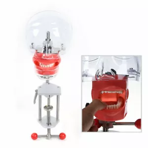 Simulador dental de montaje en banco maniquí cabeza fantasma Typodont ajuste Nissin Kilgore - Imagen 1 de 11