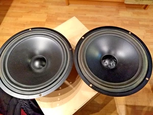 Zwei ViFa P20WN-01 Woofer Made in Danmark , aus Arcus AS 4, Top! - Bild 1 von 7