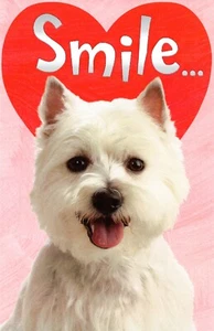 Linda Tarjeta del Día de San Valentín, West Highland White Terrier Dog Smile por AGC + Sobre - Imagen 1 de 4