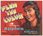 Plen Tee Color Vintage Washington Apple Crate Label R, Indian, An Original Label