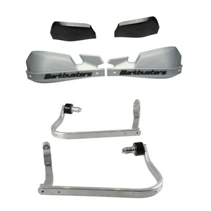 Kit paramani e montaggio BarkBusters VPS argento Kawasaki 300 Versys X 2017-2025 - Foto 1 di 4