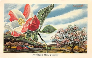 #K1617 MICHIGAN STATE FLOWER POSTKARTE, APFELBLÜTE - Bild 1 von 2