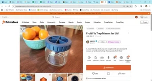 Fruit Fly Trap Mason Jar Lid - Picture 1 of 9