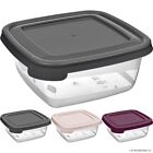Pack Of 4 Square Food Containers Storage Coloured Cover Lunch Box Clear 500Ml