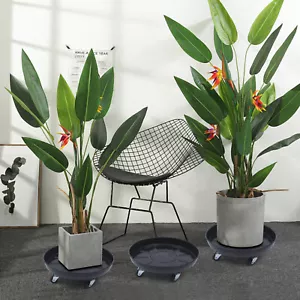 3Pcs Heavy Duty Rolling Wheels Dolly Garden Plant Flower Caddy Pot Stand Holder - Picture 1 of 12