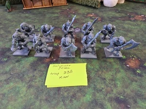 Kings of War Forces of Nature Salamander Primes 10x Scorchwing troop BBB Assembl - Picture 1 of 3