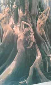 Frauen Baum Plakat der 1970 Jahre  tolles Bild und Verarbeitung - SELTEN - Bild 1 von 3