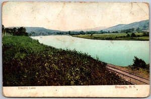 Postal de colección vista panorámica del lago eléctrico Oneonta Nueva York H882 - Imagen 1 de 2
