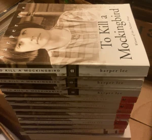 To Kill A Mockingbird Harper Lee class set of 10 paperbacks lot - Picture 1 of 1