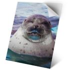 1 X Vinyl Sticker A2 - Sleepy Seal Ocean Marine #14503