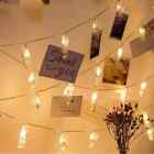 Decoration With Photo Clip Wedding Led String Light 1.5M/3M/6M/10M Not Battery
