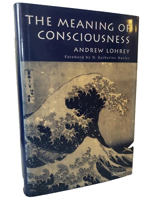 The Meaning of Consciousness Andrew Lohrey Studies In Literature And Science - Image 1 of 4