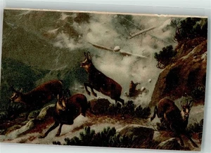 38155462 - Gemsen Lawine Bergtier - Bild 1 von 2