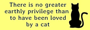 No hay mayor privilegio terrenal plantilla de gato para pintar, letrero hágalo usted mismo #10340 - Imagen 1 de 1