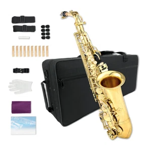 Alto Saxophone E Flat Gold Lacquer Alto Beginner Sax Full Kit Carrying Sax Case - Bild 1 von 10