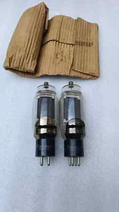Radiotron 830B Electron Valve Vacuum Tube Lot Of 2 Electronic Device - Picture 1 of 9