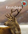 Reindeer (Red Squirrel Phonics Level 7), Bronwyn Tainui