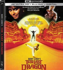 The Last Dragon (Blu-Ray, Steelbook, NO 4K DISC!) FREE SAME-DAY SHIPPING! - Picture 1 of 1