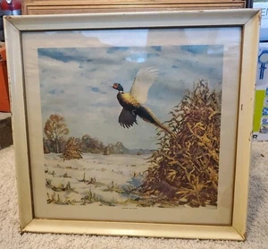 Stampa Richard E. Bishop incorniciata e firmata "DOVE TO NOW" fagiano  - Foto 1 di 3