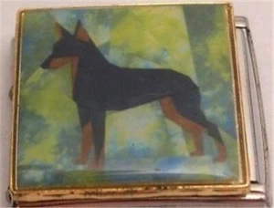MINPIN MINIATURA PINCHER RITRATTO CANE SMALTO ITALIANO CHARM 18MM MEGA BRACCIALE - Foto 1 di 1