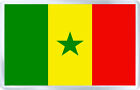 Senegal Flag Fridge Magnet Souvenir Magnet Kühlschrank