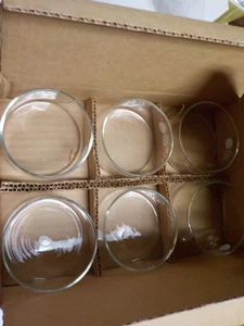 Piatti Cristallizzanti Pyrex Lab #3140 (80 x 40 mm) Nuovi Vecchio Stock Scatola Originale da 6 - Foto 1 di 8