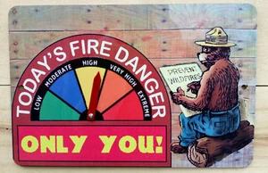 ¡SEÑAL DE ADVERTENCIA DE PELIGRO DE INCENDIO SE AJUSTA! 8"X12" METAL OSO AHUMADO SERVICIO FORESTAL - Imagen 1 de 1