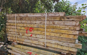 50 Holzträger H20 Dokaträger Schalungsträger f Deckenstützen Schaltafeln #T9 - Bild 1 von 3