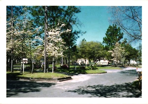 Postcard: Styx River Resort -- Robertsdale -- Alabama, USA - Picture 1 of 2