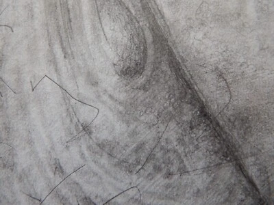 Original illustration Male Nude Anatomical Tonal Penis Pencil Drawing NSFW Art - Image 1 of 4