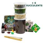 DIY Large Terrarium Kit Cute Farms - Perfect Gift for Plant Lovers +3 Succulents
