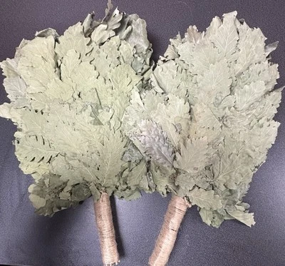 2 Oak Venik Sauna Broom Sauna Banya  КАВКАЗСКИЙ ДУБОВЫЙ ВЕНИК БАННЫЙ - Image 1 of 3