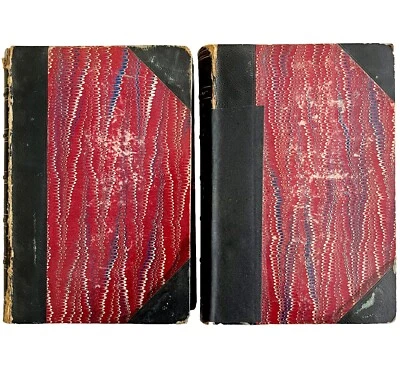 Geology Of Southwestern Pennsylvania Lot Of 2 1877-78 Victorian Coal WHBS - Image 1 of 4